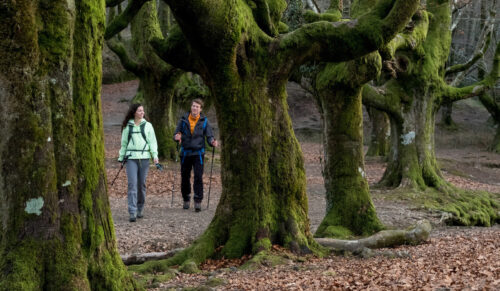 Wanderszene im Wald von Gorbeia, Baskenland, Spanien.