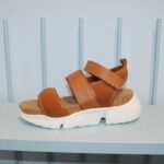 Shoe the Bear (Foto: Redaktion)