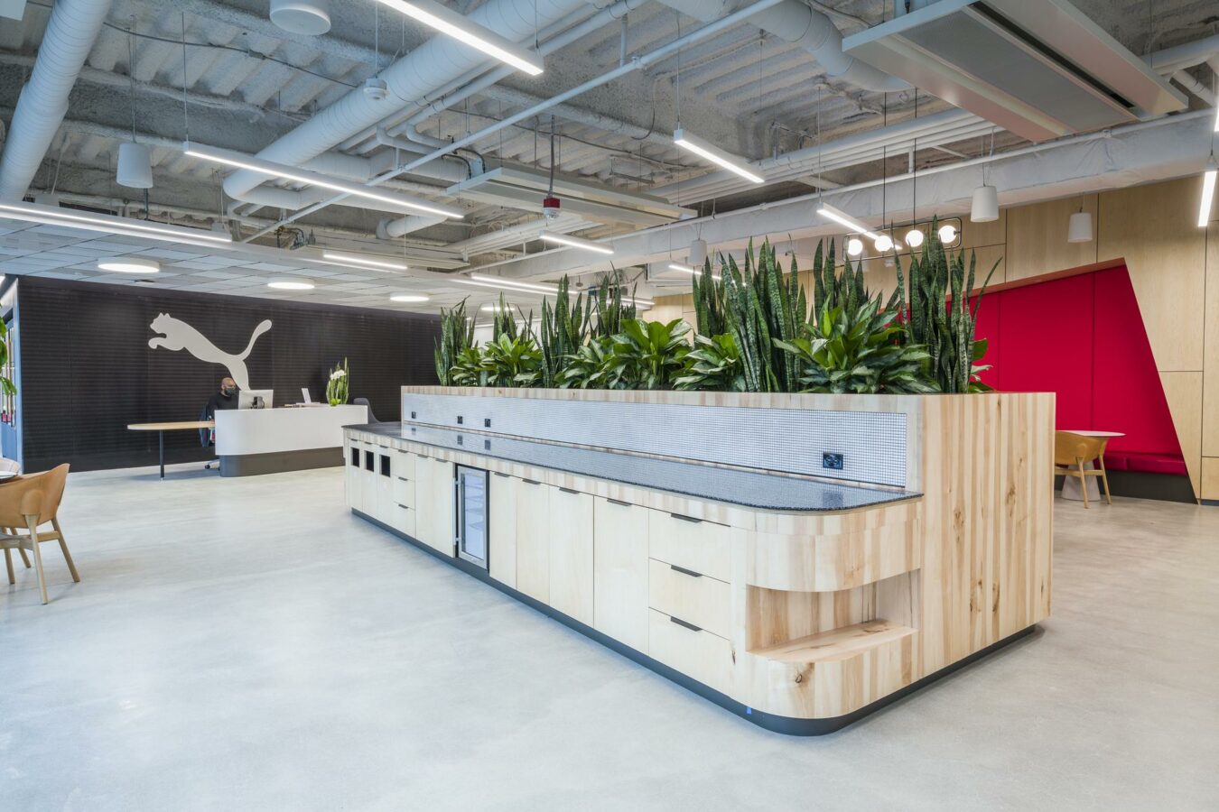 Das neue Puma-Hauptquartier für Nordamerika. (Foto: Puma)