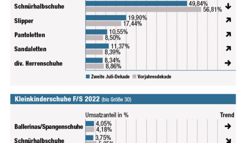 Umsatzanteile nach Schuhtypen, zweite Dekade Juni (Quelle: ERIX-Marktdatenbank)