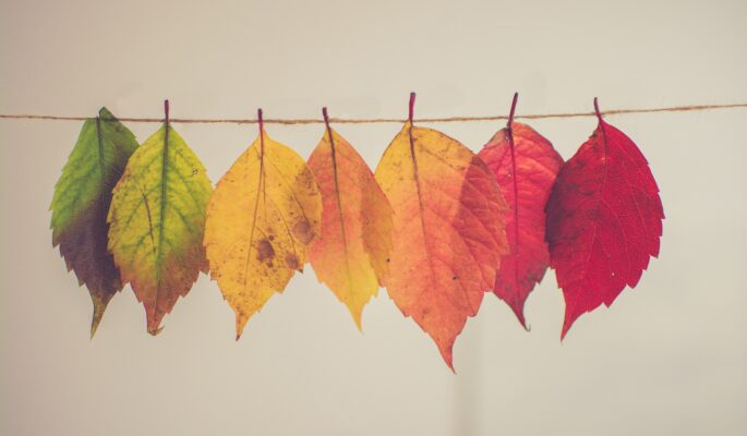 Herbstliche Stimmung im Handel. (Foto: Chris Lawton/Unsplash)
