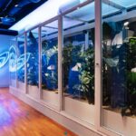 Adidas feiert die Wiedereröffnung des Flagship-Stores in Berlin. (Foto: Adidas)
