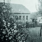 Zum 111. Jubiläum lud Werner 1911 zu einem Fest auf dem Firmengelände ein. (Fotos: Werner 1911)