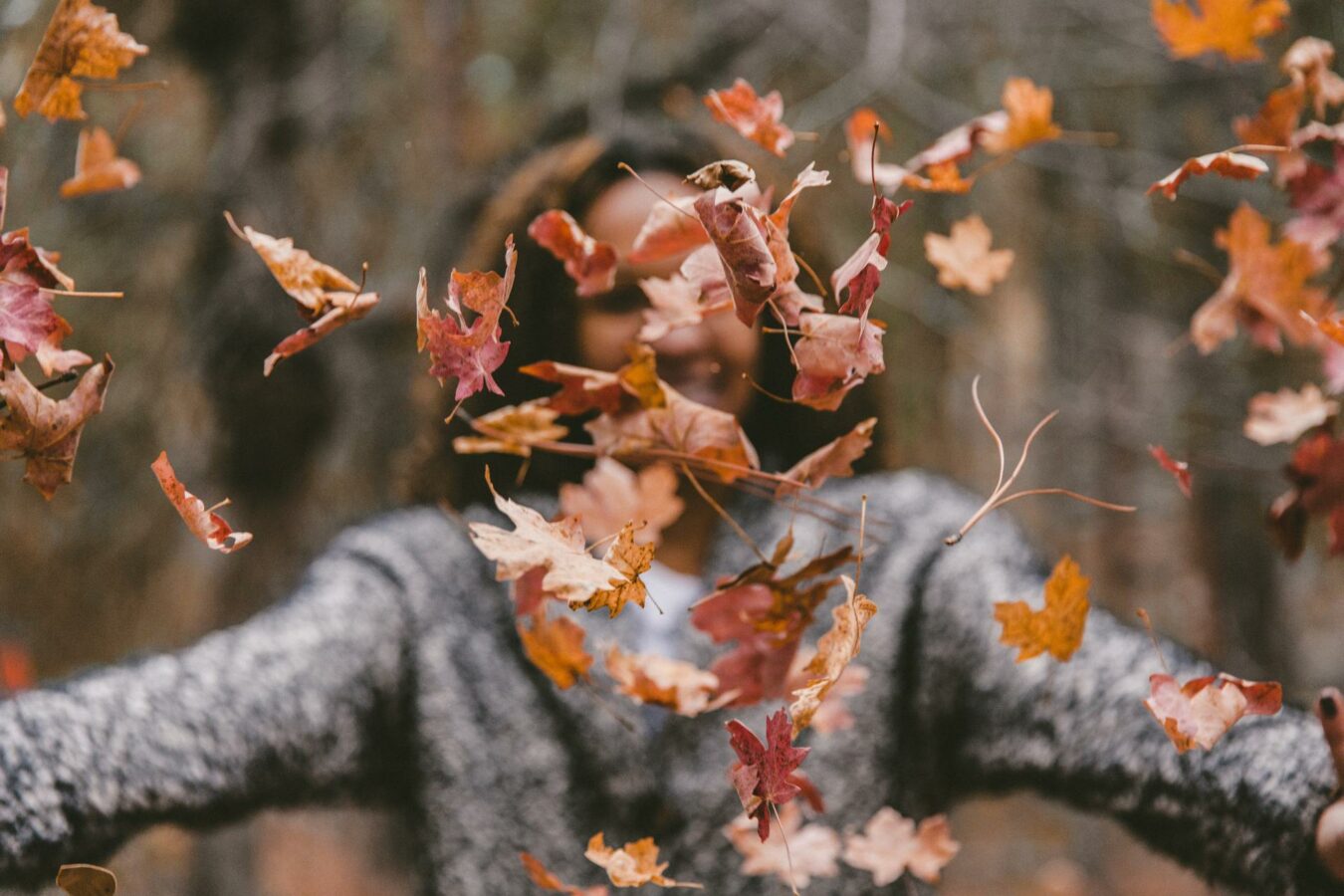Die neue Herbst-Deko wird beruhigter und setzt auf neue Farben. (Foto: Jakob Owens on Unsplash)