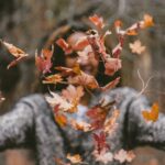 Die neue Herbst-Deko wird beruhigter und setzt auf neue Farben. (Foto: Jakob Owens on Unsplash)