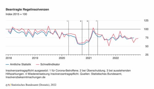 Destatis gibt die Zahl der Regelinsolvenzen bekannt. (Foto: Destatis)