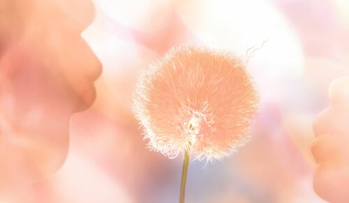 Pantone ernennt Peach Fuzz zur Farbe des Jahres 2024. (Foto: Pantone)