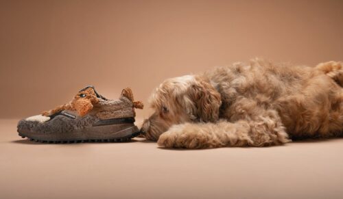 Der neue Sneaker von Floris van Bommel basiert auf Flapper, dem Hund von Floris. (Foto: Floris van Bommel)