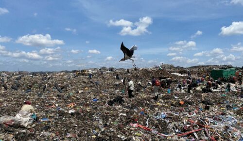 Auch Schuhe, die eigentlich kompostierbar wären, landen oft in Müllbergen, wie hier in Kenia. (Foto: GRND)