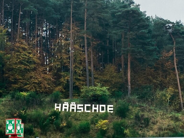 Hollywood? Nein, Hääschde! Liebeserklärung an das Schuhdorf im Pfälzerwald (Foto: Redaktion)
