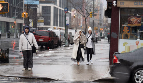 Streetstyle PAP FW 2025
New York Fashion Week February 2025