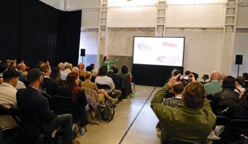 Vortrag auf dem Footwearise-Symposium (Foto: Redaktion)