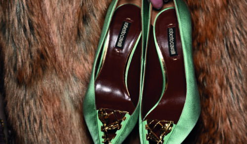 Style von Roberto Cavalli  (Foto: Catwalkpix)