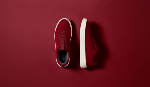 Foto: Allbirds
