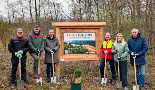 V.l.n.r.: Volker Reihl (Revierförster), Christopher Kroos (Leitung Forst), Jens Beining (CEO Wortmann Gruppe), Jörg Düning-Gast (Verbandsvorsteher Landesverband Lippe), Sarah Riedel (Projektteam Wortmann), Andreas Burmeister (Head of Corporate Sustainability Wortmann) (Foto: Wortmann)