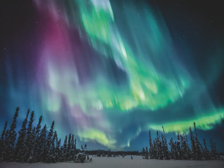 Ausblick auf dem Iditarod Trail (Foto: Sunny Stroeer)