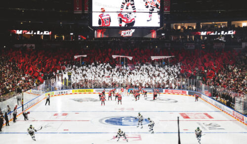 Foto: Kölner Haie