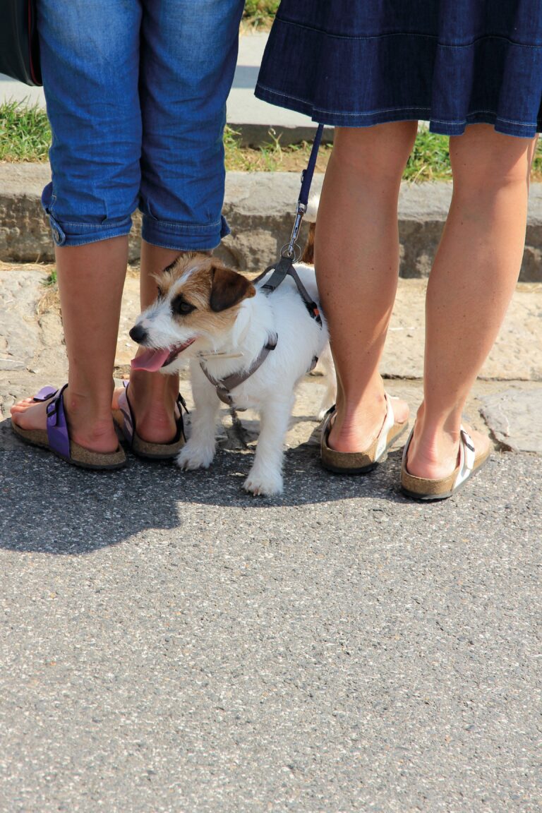 Modelle von Birkenstock (Foto: Pixabay)