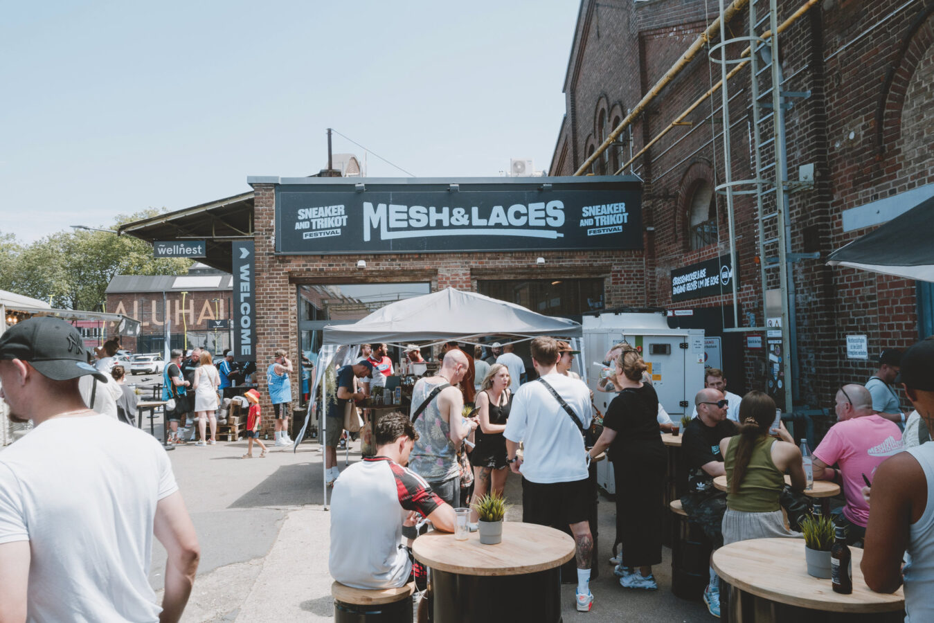 Foto: Ben Hammer/Mesh & Laces